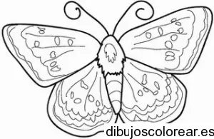 Dibujo de una gran mariposa para colorear
