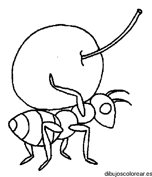Dibujo de una hormiga y una guinda para colorear