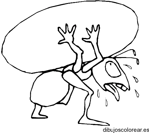 Dibujo de una hormiga para colorear