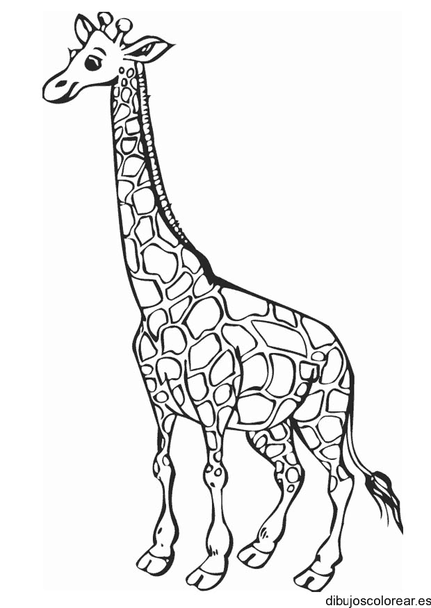 Dibujo de una jirafa sonriendo para colorear