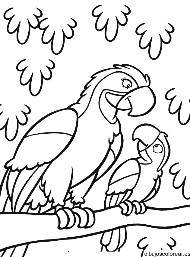 Dibujo de una mama tucan y su hijo para colorear