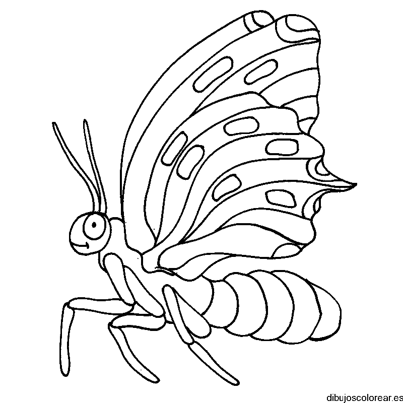 Dibujo de una mariposa caminando para colorear