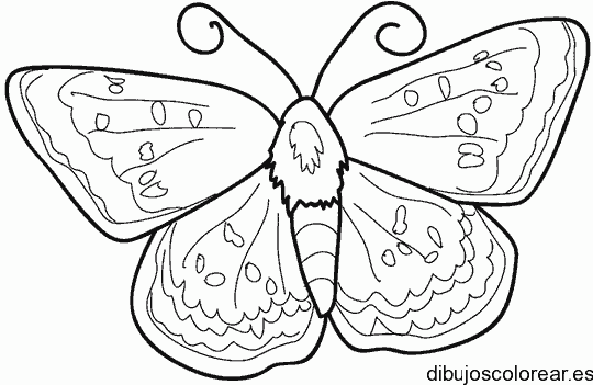 Dibujo de una mariposa con detalles para colorear