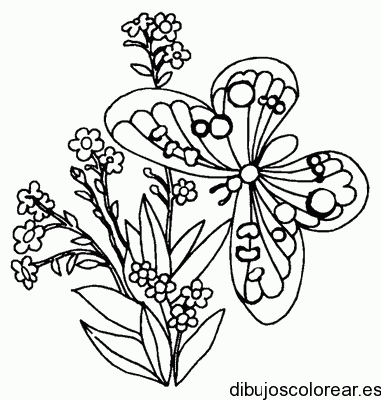 Dibujo de una mariposa con una flores para colorear