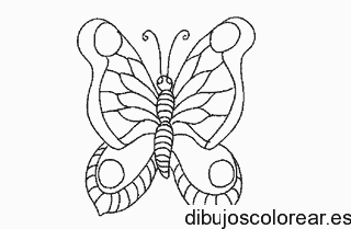 Dibujo de una mariposa de frente para colorear