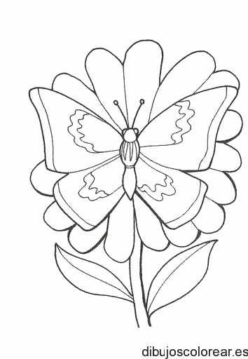 Dibujo de una mariposa en una flor para colorear