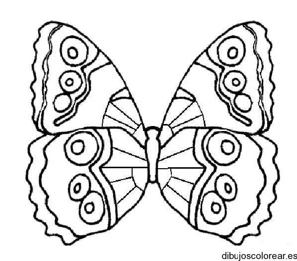Dibujo de una mariposa monarca pequeña para colorear