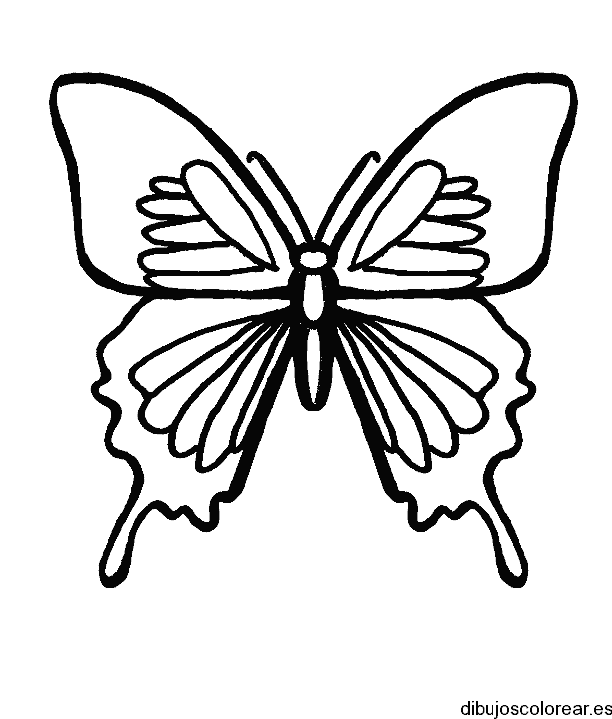 Dibujo de una mariposa pequeña para colorear