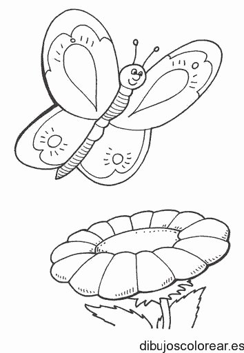 Dibujo de una mariposa volando sobre una flor para colorear