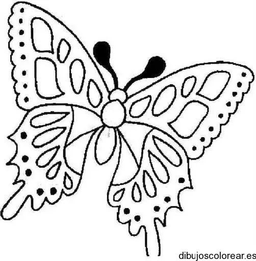 Dibujo de una mariposa volando para colorear