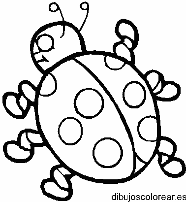 Dibujo de una mariquita para colorear