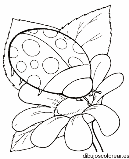 Dibujo de una mariquita entre flores para colorear
