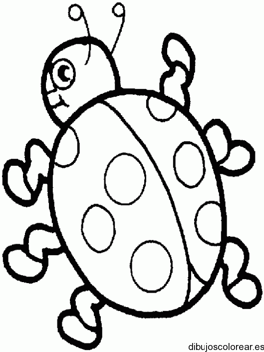Dibujo de una mariquita pequeña para colorear