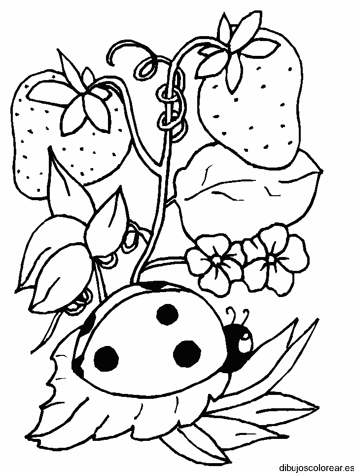 Dibujo de una mariquita y fresas para colorear