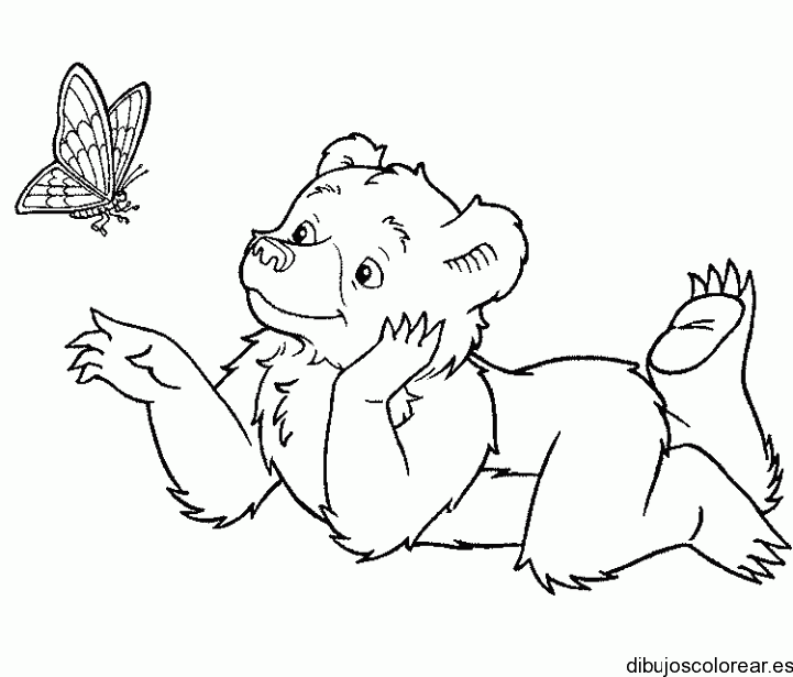 Dibujo de una osa con una mariposa para colorear