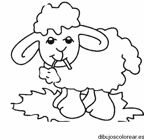 Dibujo de una oveja comiendo unas hojas para colorear