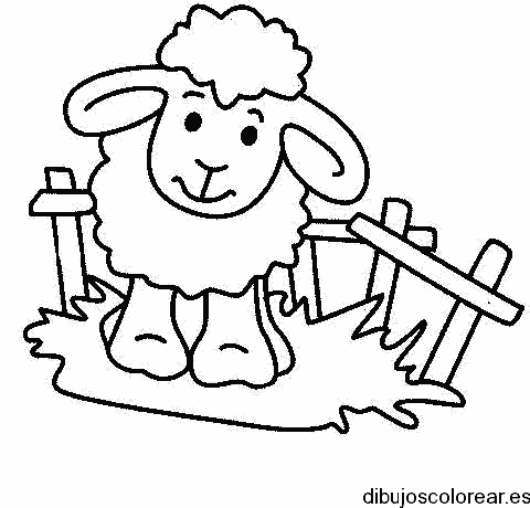 Dibujo de una oveja en una cerca para colorear