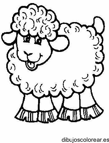 Dibujo de una oveja pequeña para colorear