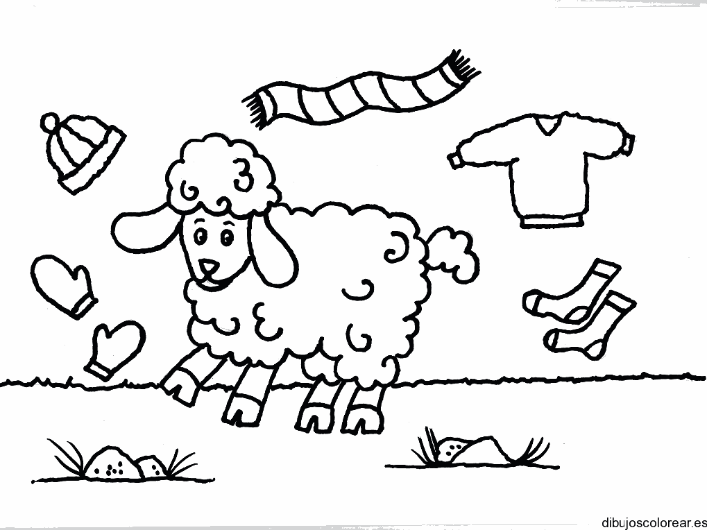 Dibujo de una oveja y prendas de lana para colorear