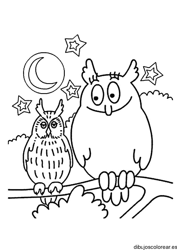 Dibujo de una pareja de búhos para colorear