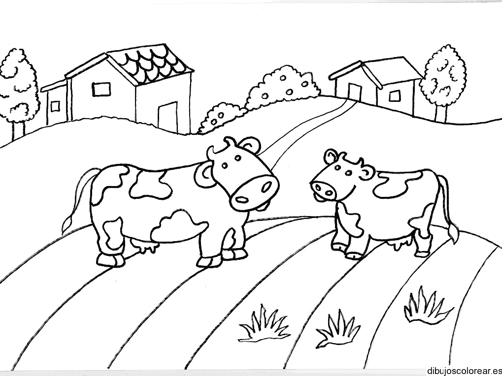 Dibujo de una pareja de vacas en el camino para colorear