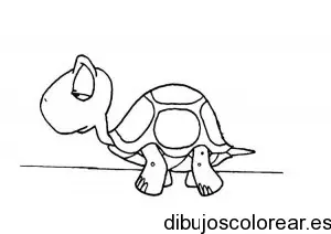 Dibujo de una pequeña tortuga para colorear