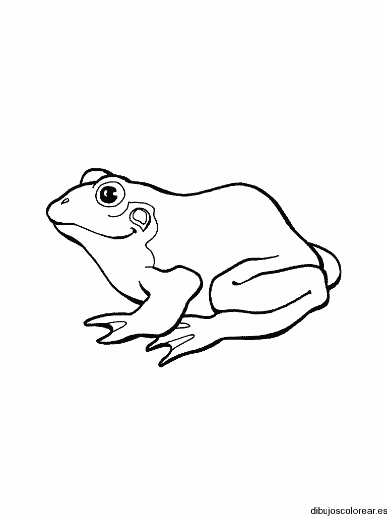 Dibujo de una rana pequeña para colorear