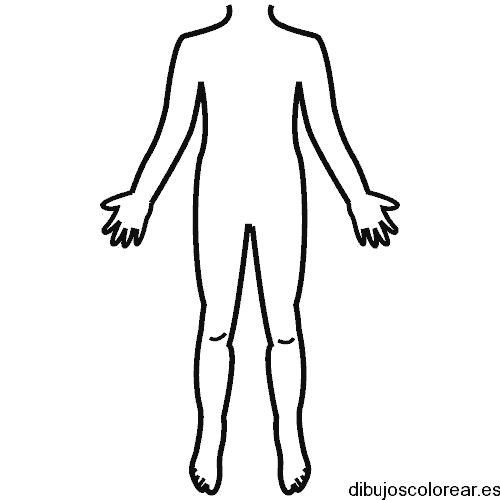 Dibujo de una silueta del cuerpo humano para colorear