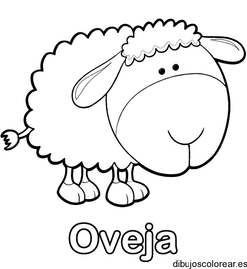 Dibujo de una simpática oveja para colorear