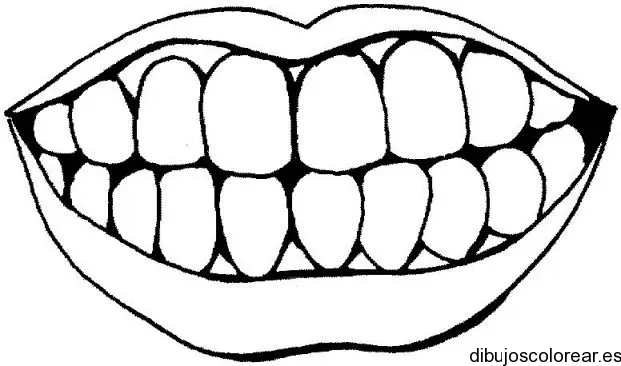 Dibujo de una sonrisa con dientes para colorear