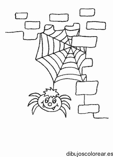 Dibujo de una telaraña con su araña para colorear
