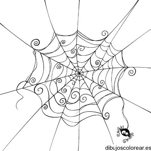 Dibujo de una telaraña para colorear