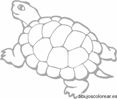 Dibujo de una tortuga para colorear