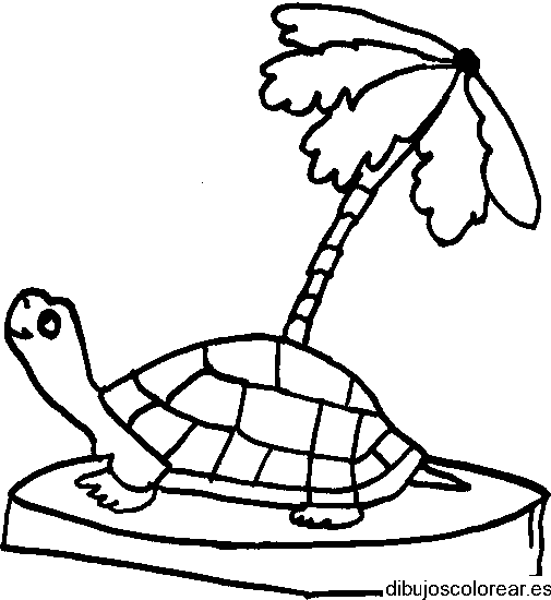 Dibujo de una tortuga bajo una palmera para colorear