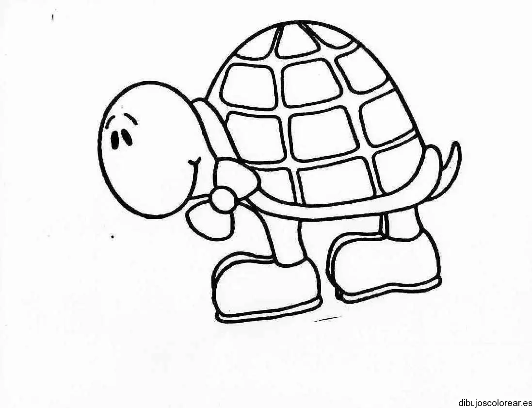 Dibujo de una tortuga con zapatos para colorear
