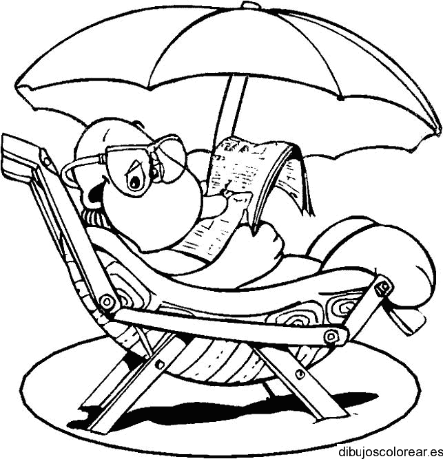 Dibujo de una tortuga leyendo para colorear