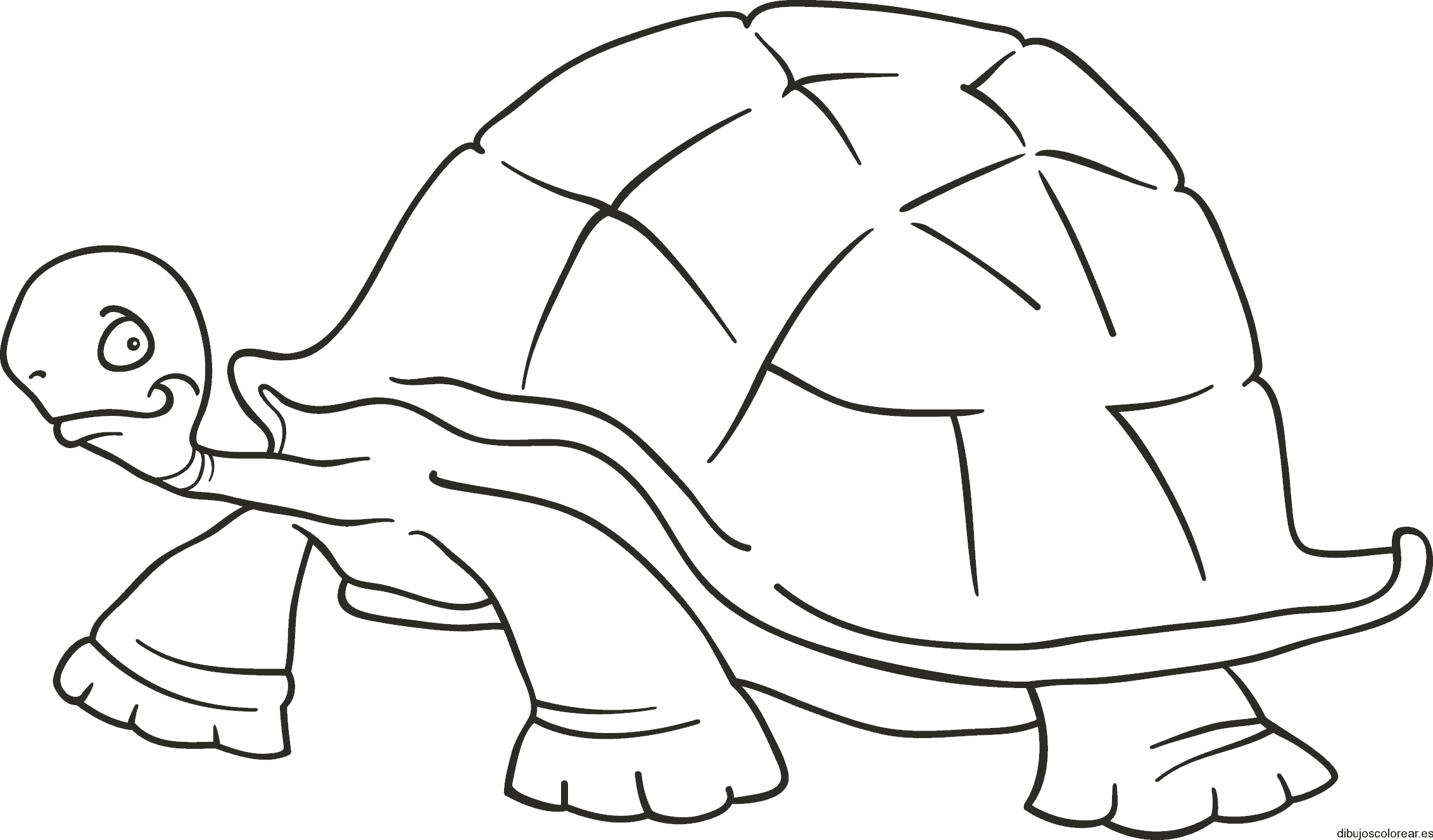 Dibujo de una tortuga paseando para colorear