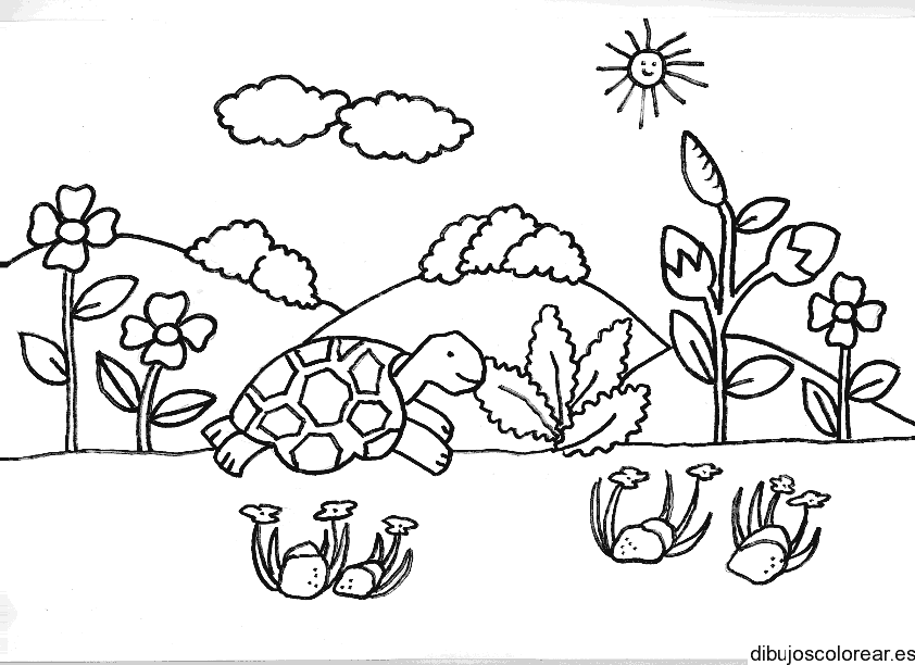 Dibujo de una tortuga saltando para colorear