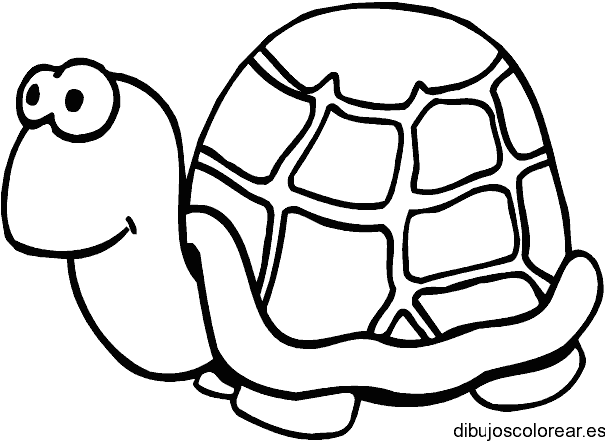 Dibujo de una tortuga sonriendo para colorear