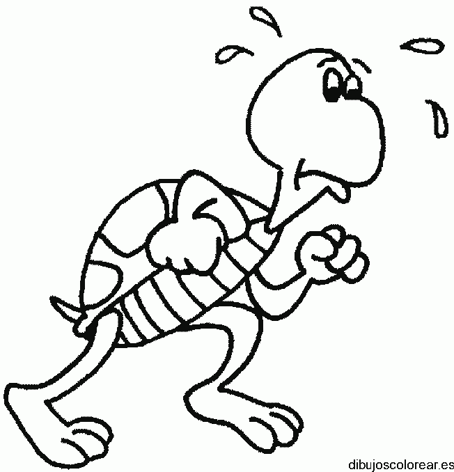 Dibujo de una tortuga trotando para colorear