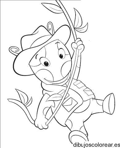 Dibujo de una tortuga para colorear