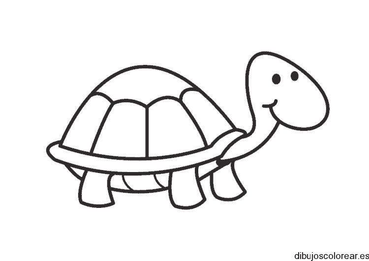 Dibujo de una tortuguita para colorear
