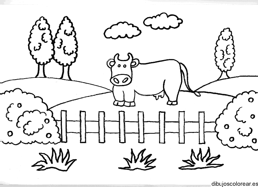 Dibujo de una vaca en el bosque para colorear