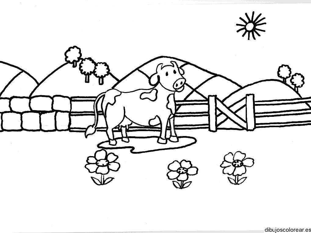 Dibujo de una vaca en un corral para colorear