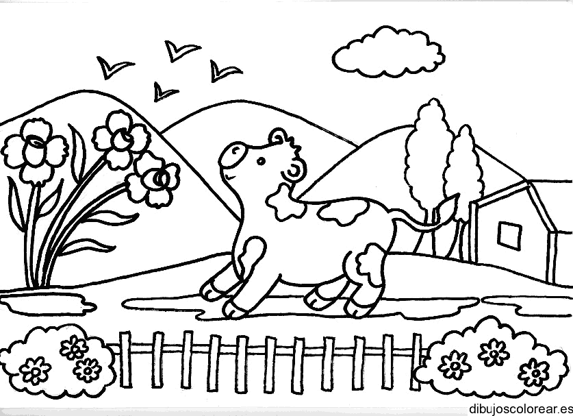 Dibujo de una vaca viendo al cielo para colorear