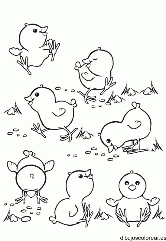 Dibujo de varios pollitos jugando para colorear
