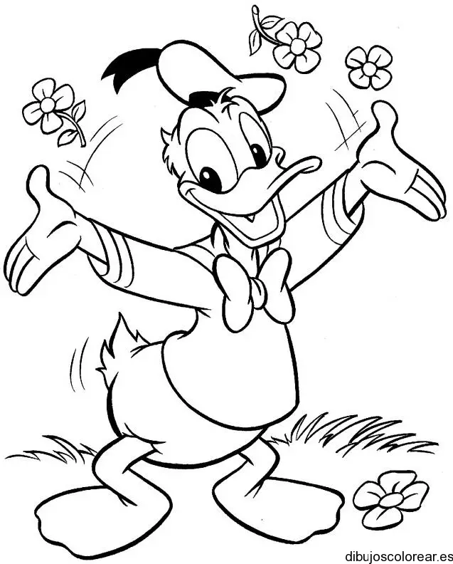 Dibujo del Pato Donald con flores para colorear