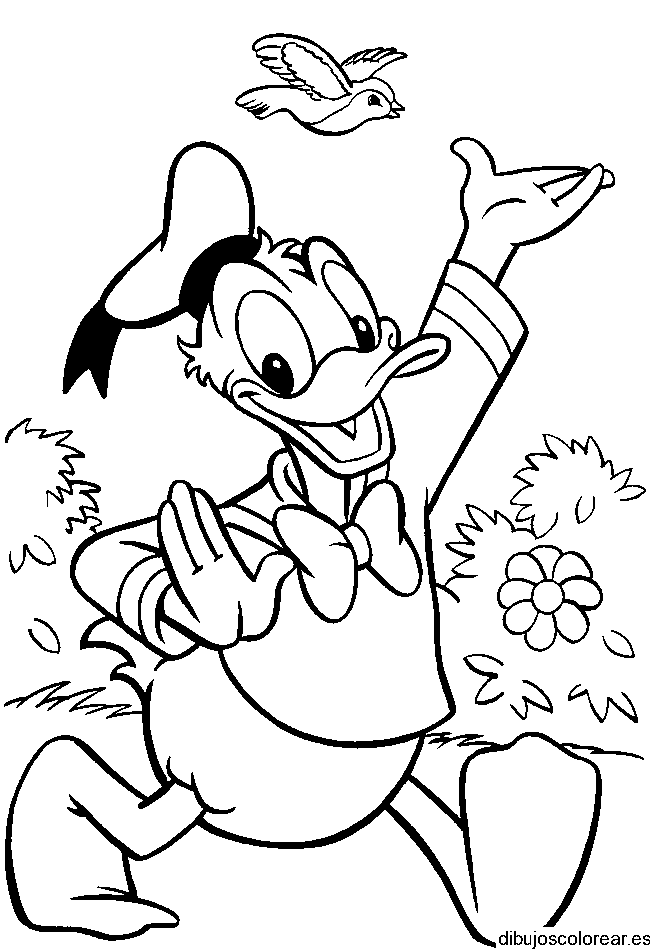 Dibujo del Pato Donald y un pájaro para colorear