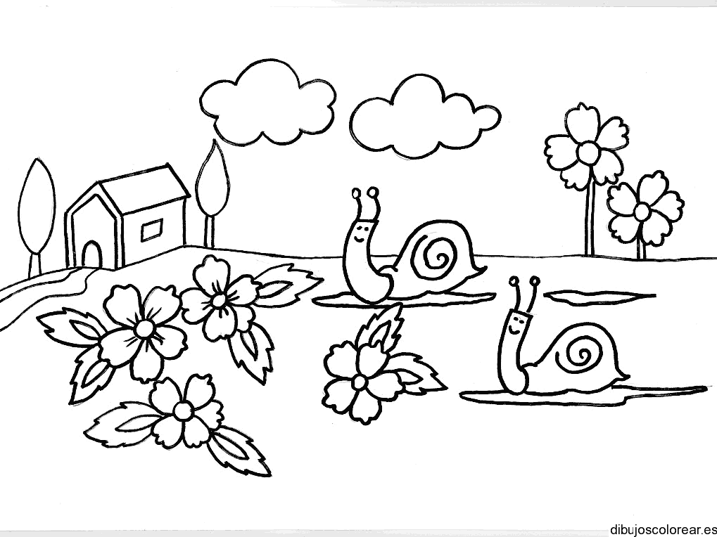 Dibujos de caracoles en el jardín para colorear