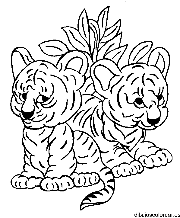 Dibujos de dos cachorros de tigre para colorear